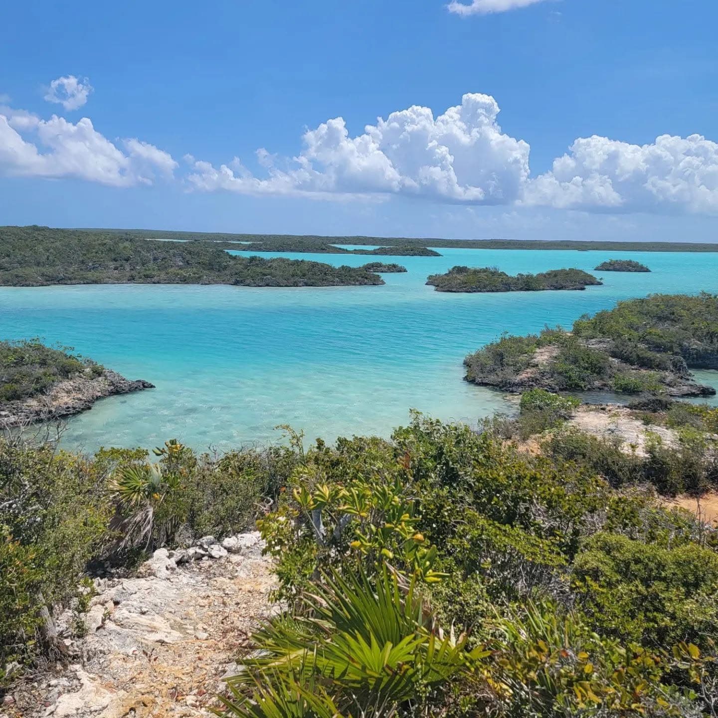 A shallow turquoise lagoon broken up by small green mangrove islets, under a blue sky with tall white clouds